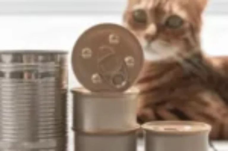 دليلك لاختيار اكل قطط رطب تجاري: أفضل الخيارات لعام 2025