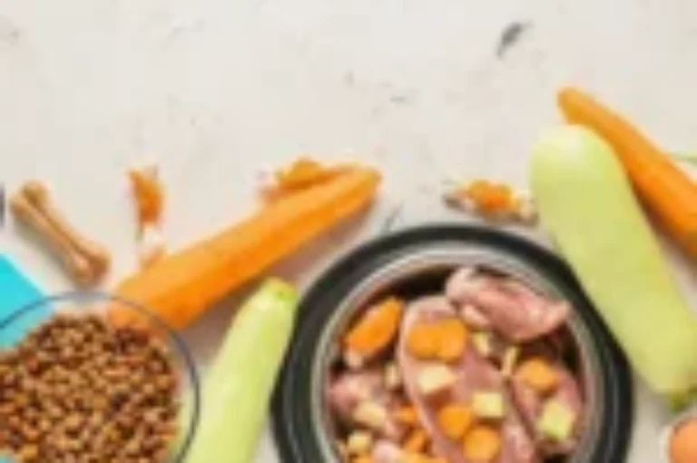 ماهو طعام القطط الجاف و الرطب ؟