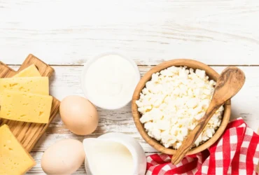 ماذا تاكل القطط الصغيرة من طعام البيت؟ دليل شامل لتغذية صحية ونمو سليم لقطتك الصغيرة