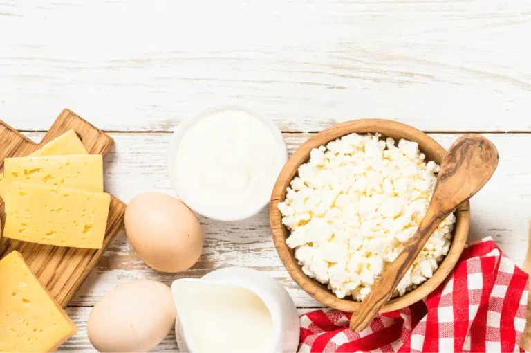 ماذا تاكل القطط الصغيرة من طعام البيت؟ دليل شامل لتغذية صحية ونمو سليم لقطتك الصغيرة